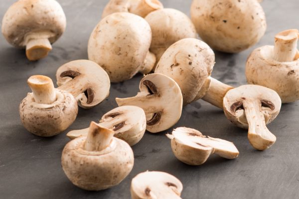 Mushroom